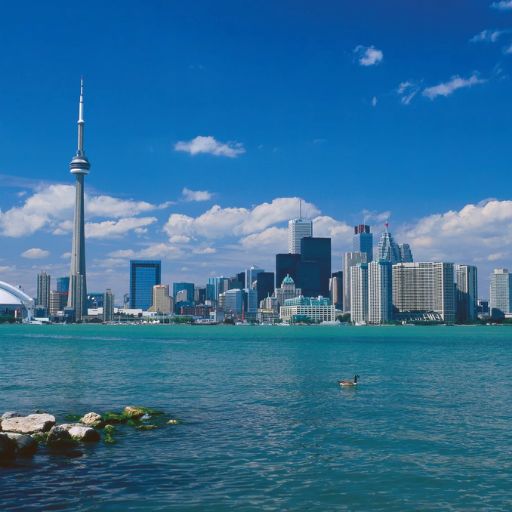 Copa Airlines Canada Office