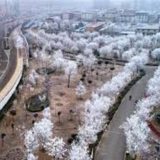 China Southern Airlines Yuncheng Office in China