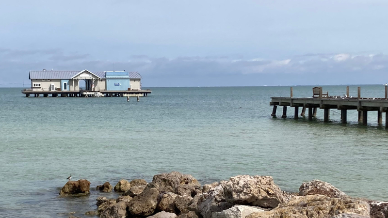 Anna Maria Island